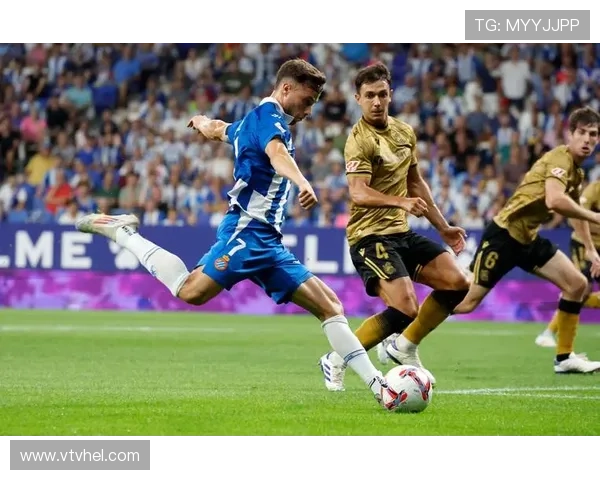 皇家社会俱乐部历史与文化探秘 其在全球体育与社会影响的深远意义 皇家社会俱乐部历史与文化探秘 其在全球体育与社会影响的深远意义